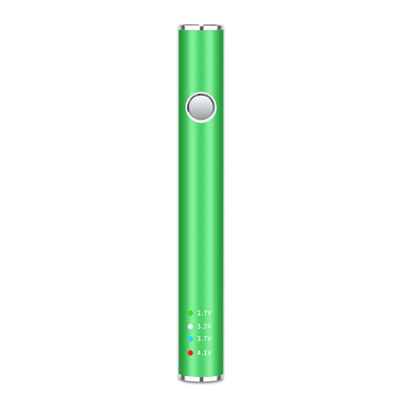 Leaf Buddi Max II Battery